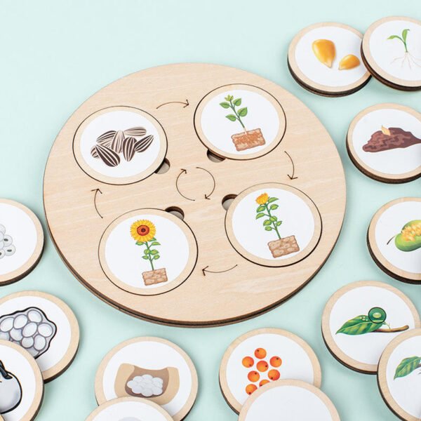 Wooden Life Circle - Image 3