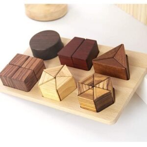 Fraction Puzzle