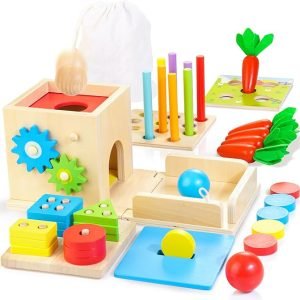 Wooden Montessori Object Permanence Box